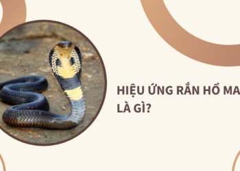 hieu-ung-ran-ho-mang-la-gi