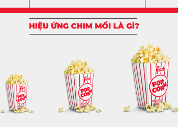 hieu-ung-chim-moi-la-gi