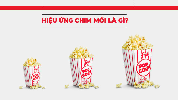 hieu-ung-chim-moi-la-gi