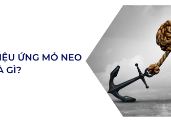 hieu-ung-mo-neo-la-gi