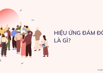 hieu-ung-dam-dong-la-gi
