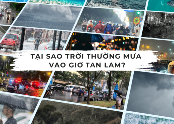 tai-sao-troi-thuong-mua-vao-gio-tan-lam