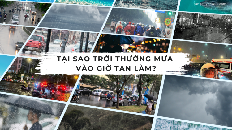 tai-sao-troi-thuong-mua-vao-gio-tan-lam