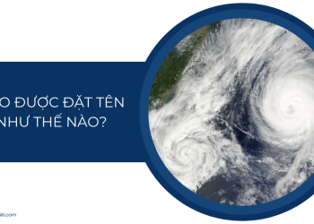 Bao-duoc-dat-ten-nhu-the-nao